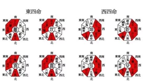 東四命對照表|八宅派風水 東西四命如何算？ 